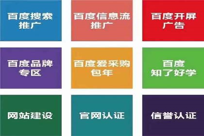 谷歌SEM在汽车行业的运用：某汽车品牌的营销策略分析