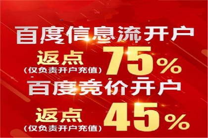 百度竞价推广案例：品牌崛起之路